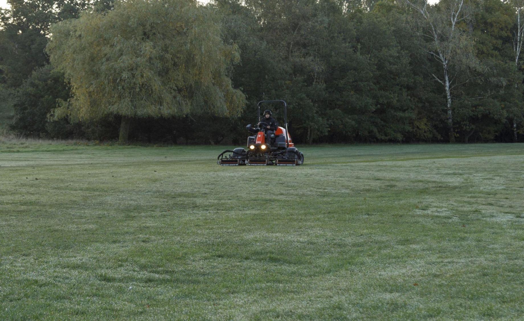 LF570 in a field of grass